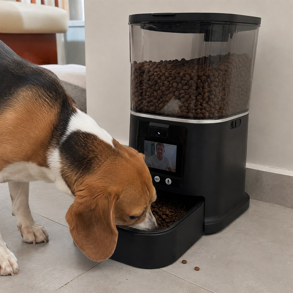 Un perro comiendo de su comedero automático mientras su dueño lo acompaña en videollamada