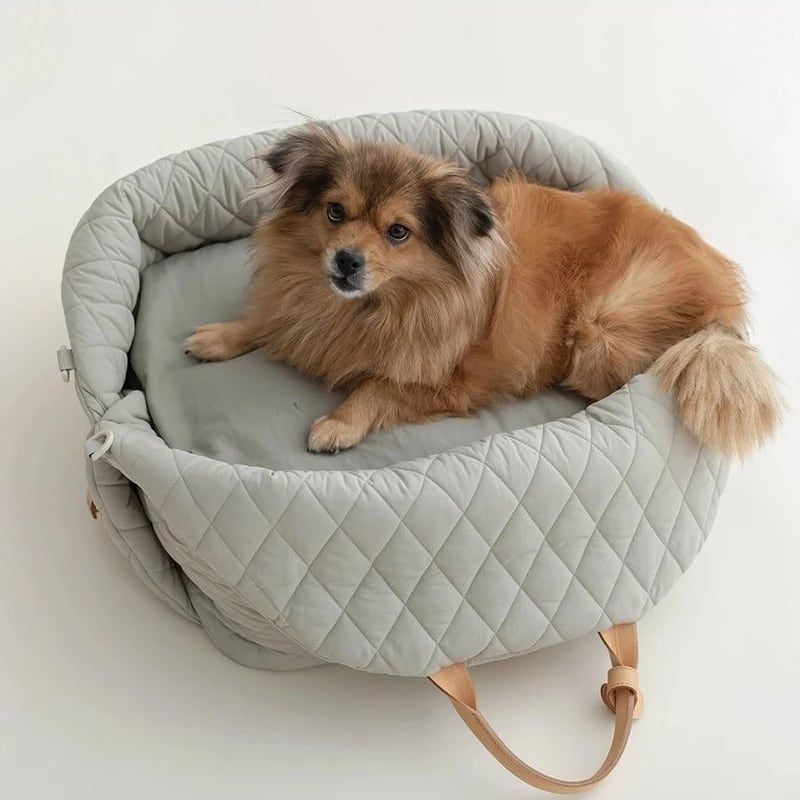 Asiento de coche y cama 2 en 1
